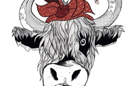 VACHE